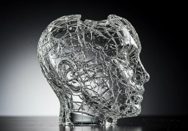 A delicate glass heart or ego, showing fragility and cracks.